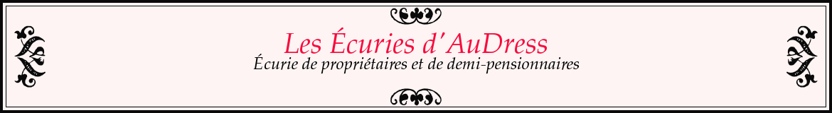 Les Écuries d'AuDress